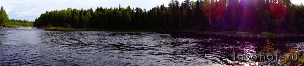 DSC02970.JPG