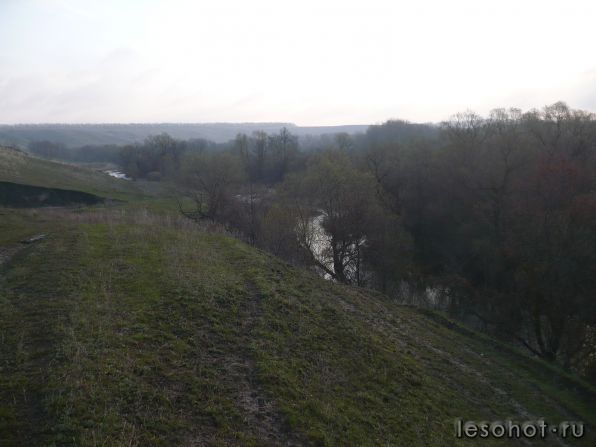 P1020861.JPG