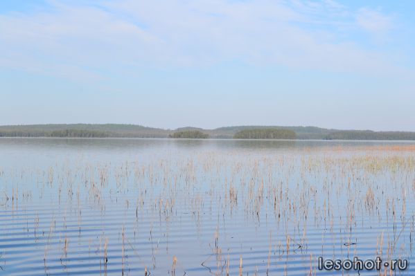 DSC_0722.JPG