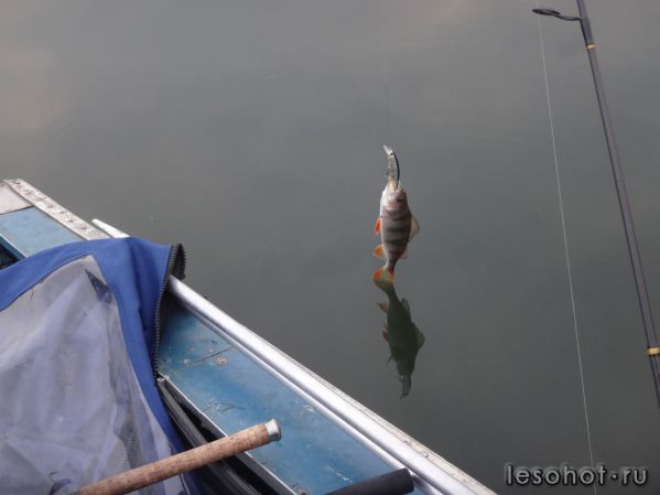 �������� 19.09.14 (7).JPG