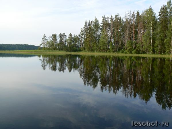 P1030178.JPG