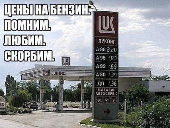 bKxm7EyNq_E.jpg