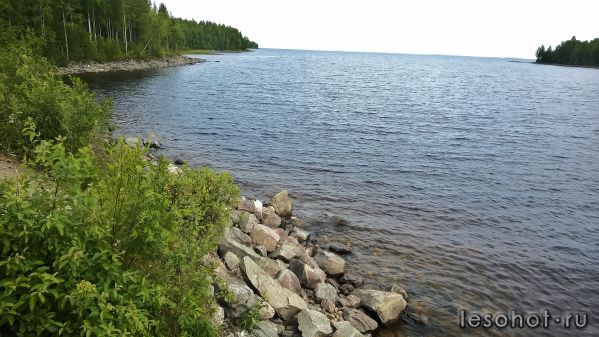 WP_20150708_028.jpg
