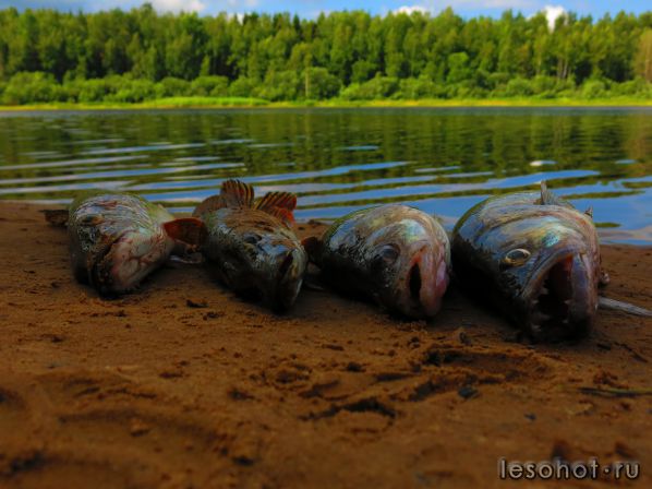 IMG_3153.JPG