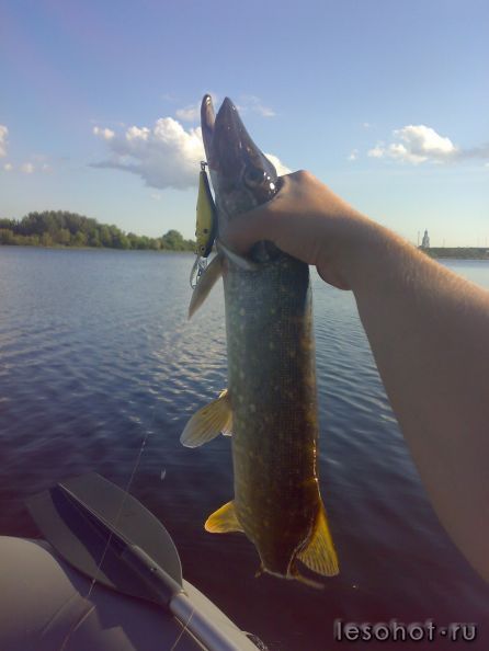 270720121902.jpg
