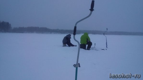 photo_00110.jpg