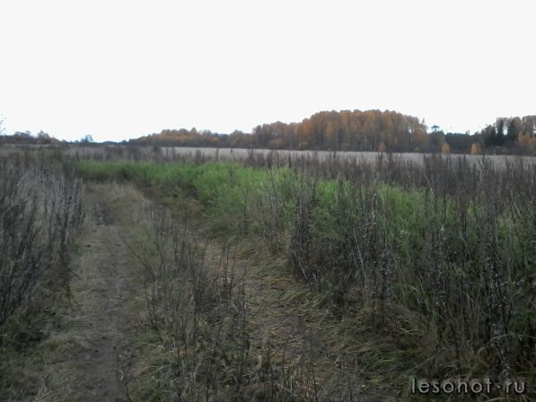 20141011_145708.jpg