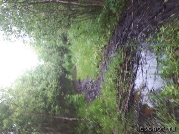 20180613_173530.jpg