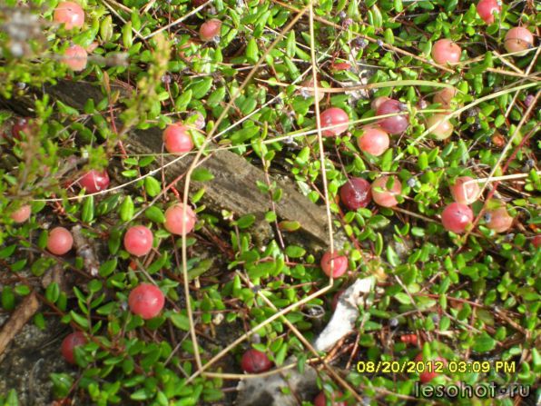 photo_00014.jpg