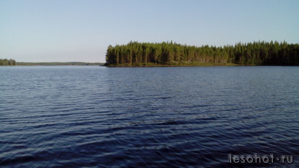 IMG_20140805_190501.jpg