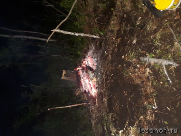 20180614_015822.jpg