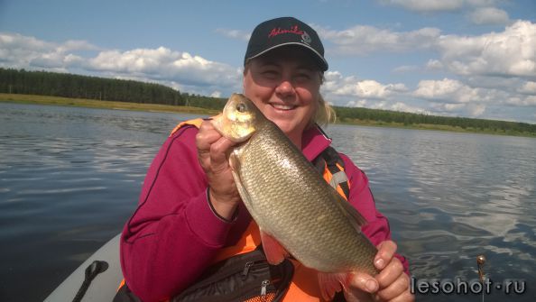 WP_20150717_001.jpg