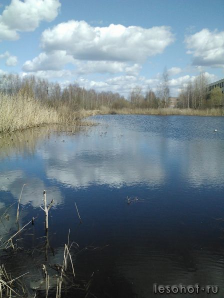 IMG466.jpg