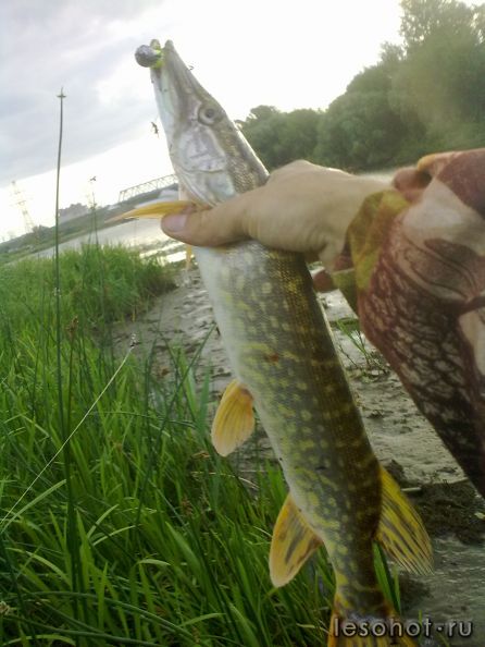07082011250.jpg