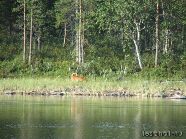 IMG_0783.JPG