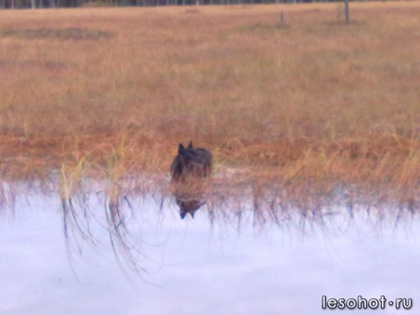 11092010140.jpg