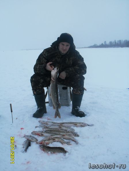 SDC10836.JPG