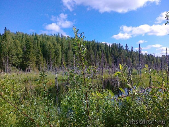 06072012076.jpg