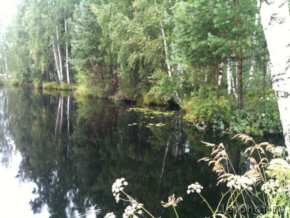IMG_1494.jpg