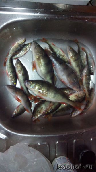 20141130151245.jpg