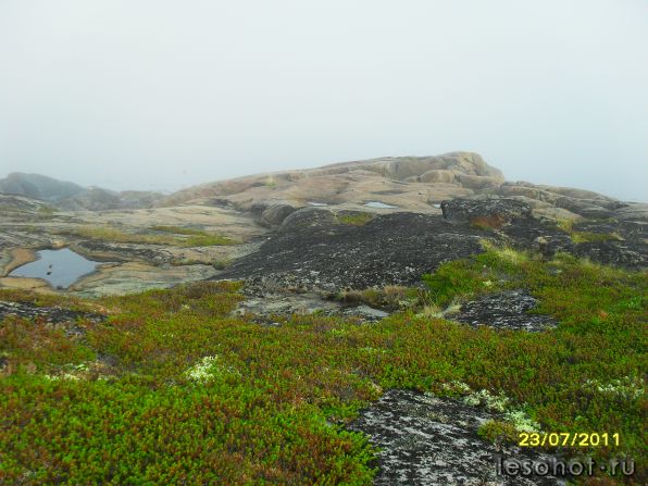 SDC12020.JPG