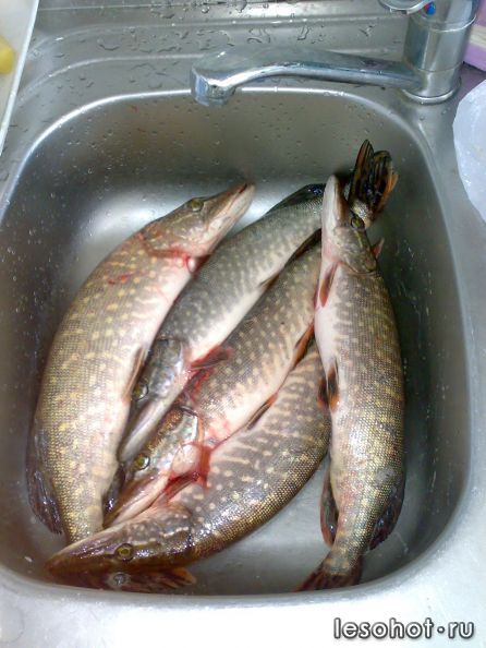 050420121800.jpg