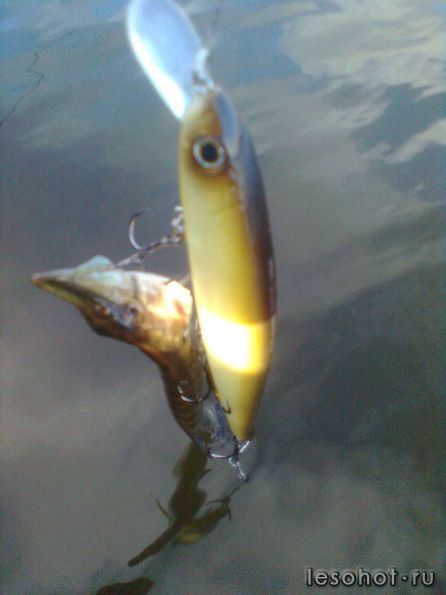 �������� ������� 09.11.2013 (5).jpg