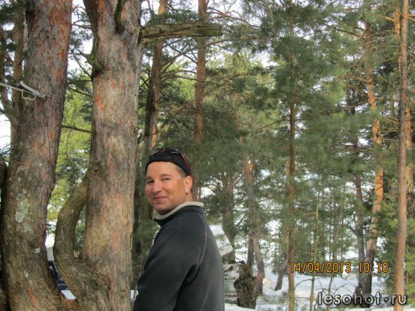 IMG_4345.JPG