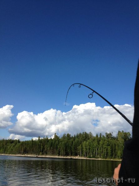 photo_00310.jpg