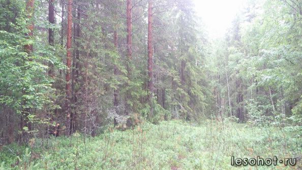 photo_00177.jpg