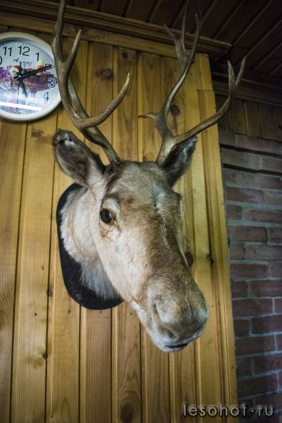 DSC_0364.jpg