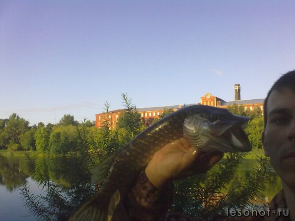23082011259.jpg