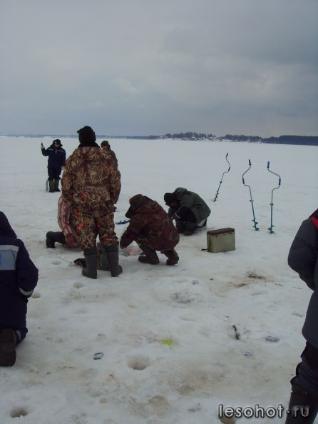 SDC19951.JPG
