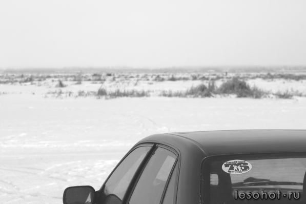 IMG_1215.JPG