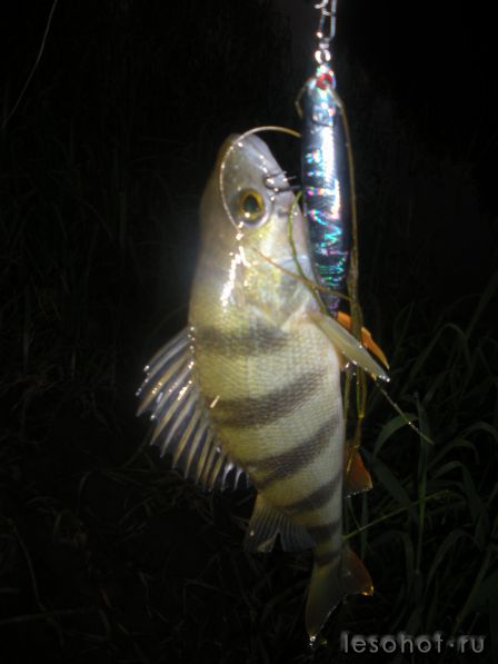 DSCN5722.JPG