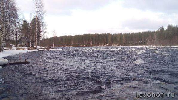 photo_00381.jpg