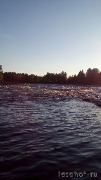 photo_00327.jpg
