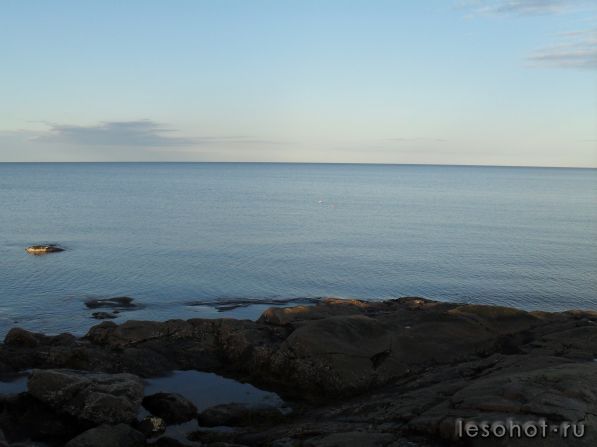 SDC10054.JPG