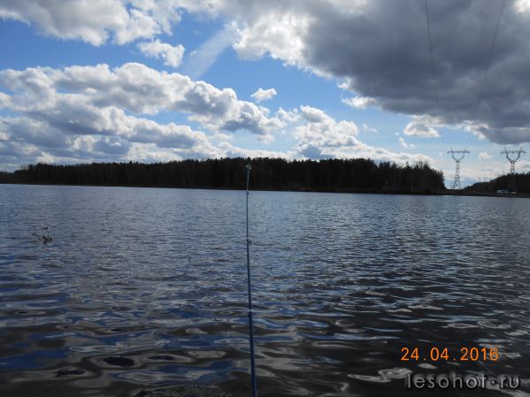 DSCN4944.JPG