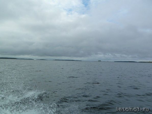 photo_00187.jpg