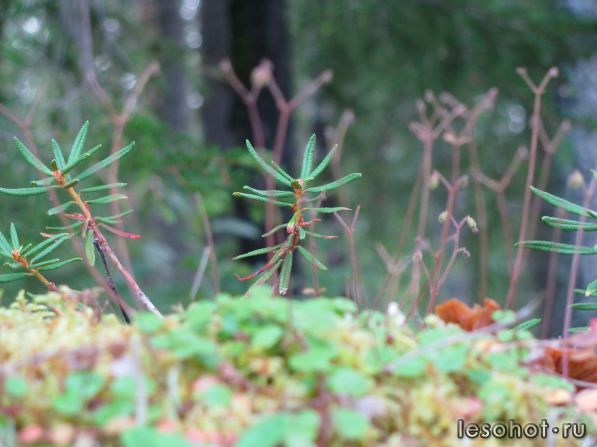 IMG_0889.JPG