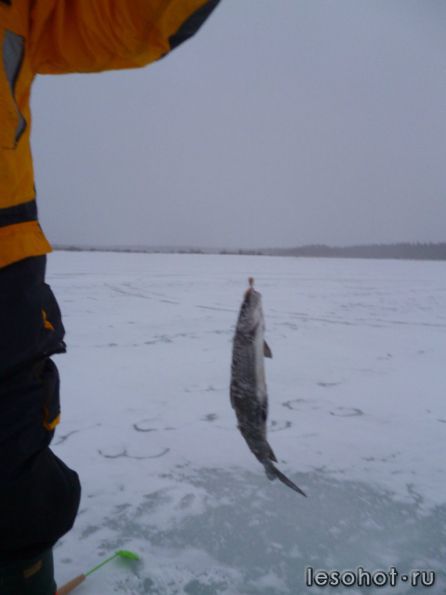 photo_00039.jpg