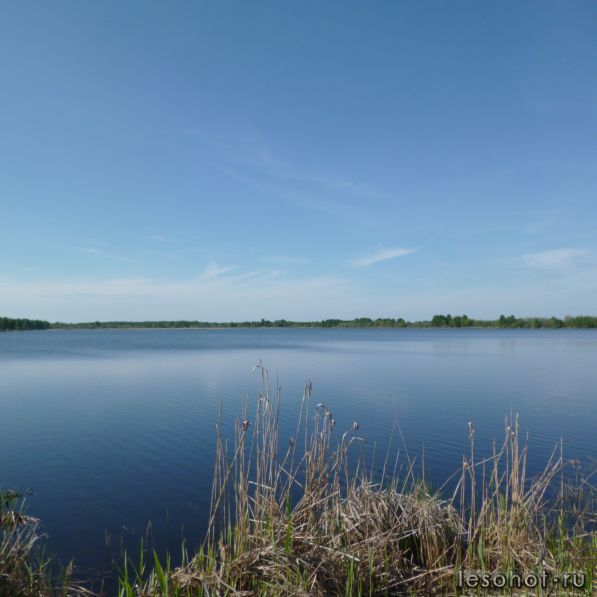 P1000312.JPG