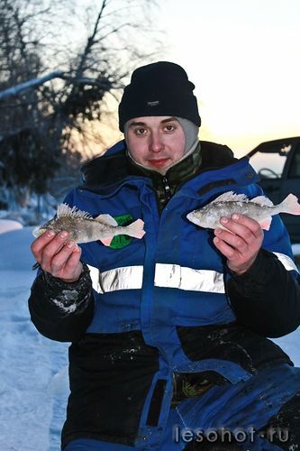 0_95978_c3bb9ac4_L.jpg