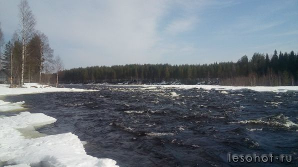 photo_00378.jpg