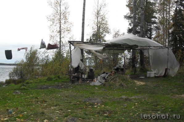 SDC10850.JPG