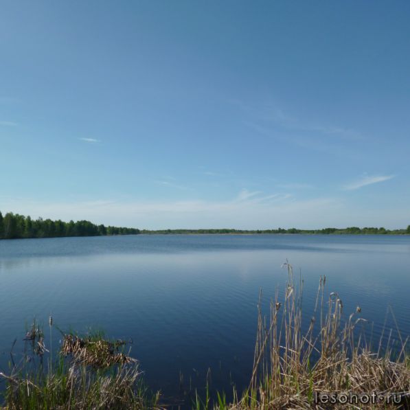P1000313.JPG