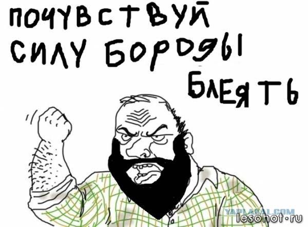2228204.jpg