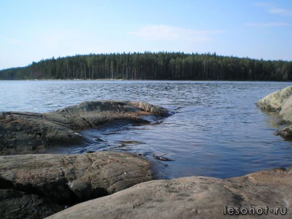 photo_00165.jpg