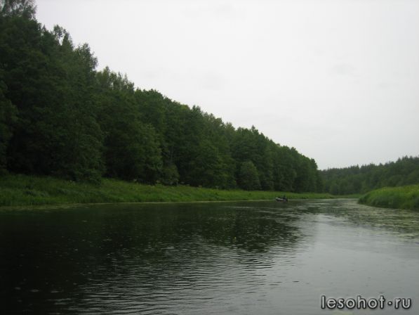 IMG_6851.JPG